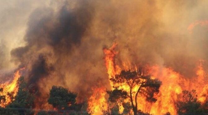 Çanakkale'de aynı bölgede 6'ncı yangın