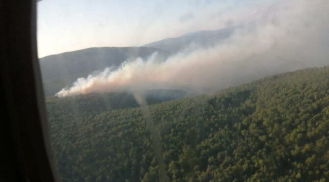 İzmir’deki orman yangını 14 saat sonra kontrol altında